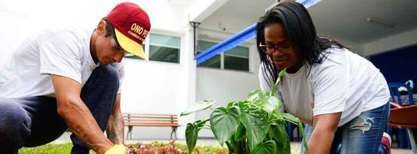 Curso de Técnicas de Jardinagem chega ao fim e alunos já alcançam novas oportunidades de trabalho