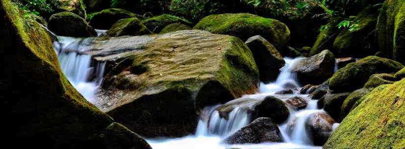 Dia da Natureza: Prefeitura de Caraguatatuba reforça medidas ambientais