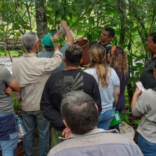 Prefeitura encerra primeiro módulo do curso de viveirista em Caraguatatuba