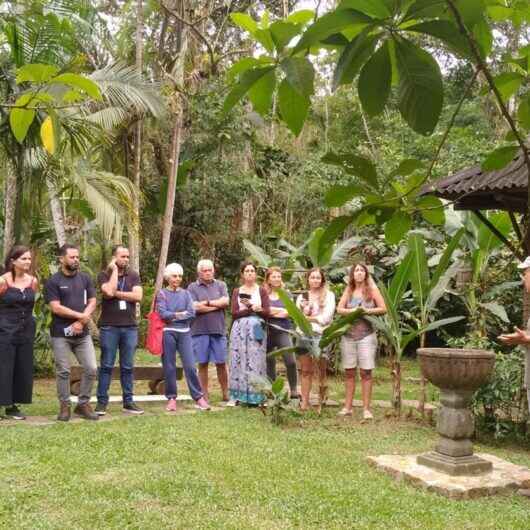 Cerca de 50 aves reabilitadas são devolvidas à natureza em Caraguatatuba