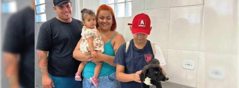 Feira de adoção permite novos lares para seis animais em Caraguatatuba