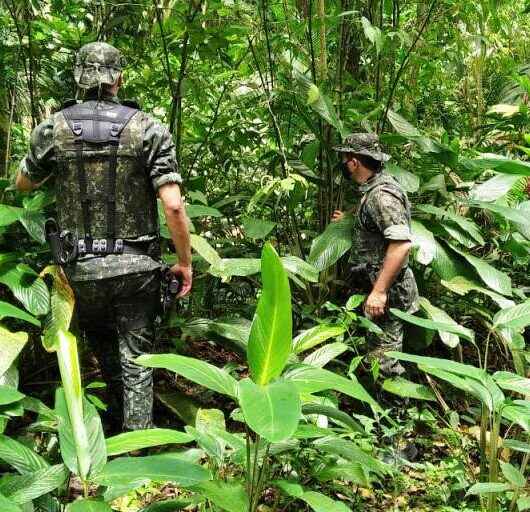 Atividade Delegada Ambiental aplica mais de R$ 284 mil em multas nos primeiros 12 meses de convênio