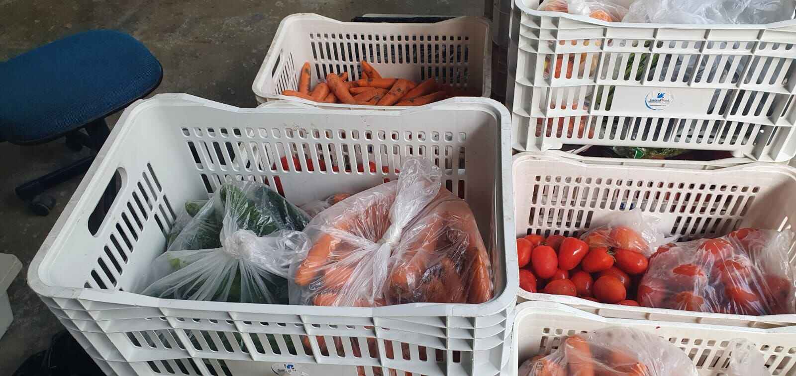 Banco de Alimentos de Caraguatatuba distribui quase duas toneladas de alimentos em setembro