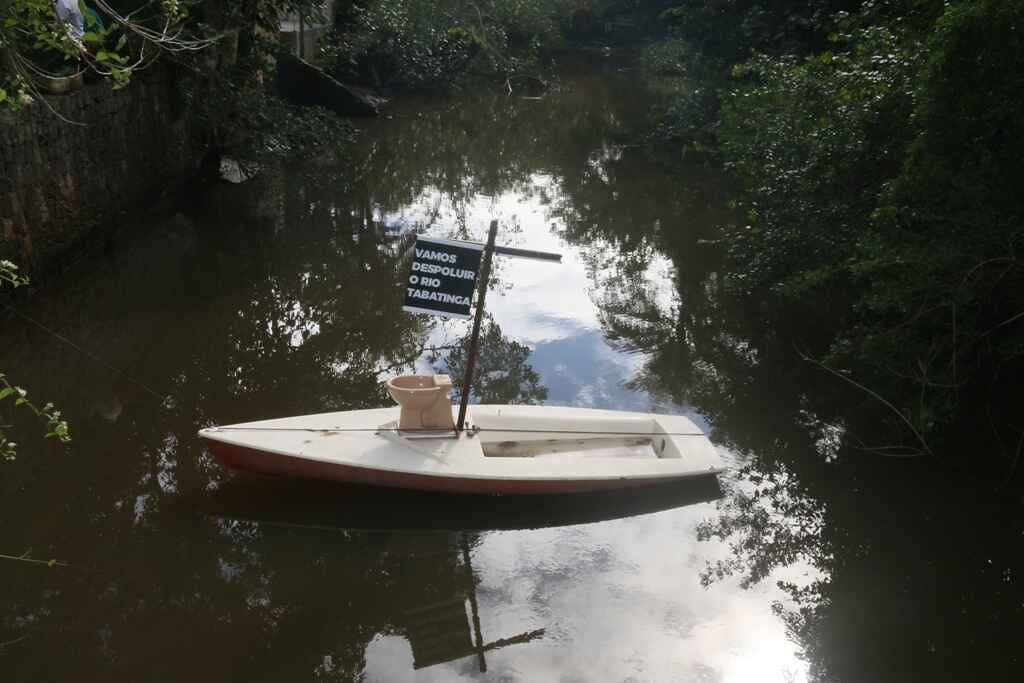 Despoluindo o Meio Ambiente