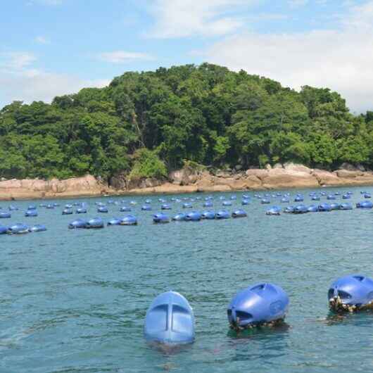 Prefeitura de Caraguatatuba estima mais de 15 mil pessoas em três eventos neste final de semana