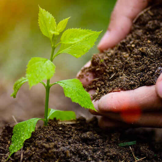 Prefeitura de Caraguatatuba apoia Mostra Educacional e Científica de Agroecologia no IF e ETEC