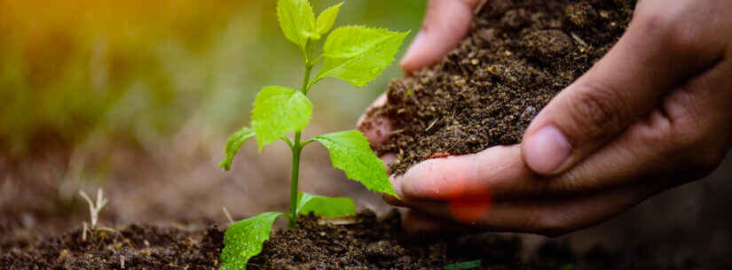 Prefeitura de Caraguatatuba apoia Mostra Educacional e Científica de Agroecologia no IF e ETEC