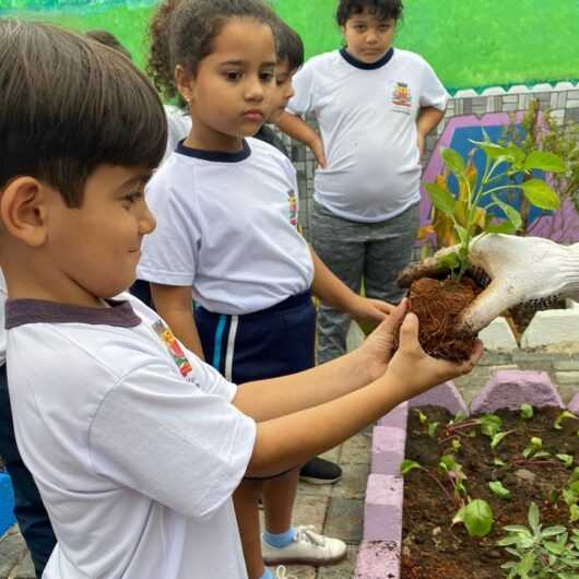 Secretaria de Educação abre inscrições para voluntariado em projetos de educação ambiental nas escolas