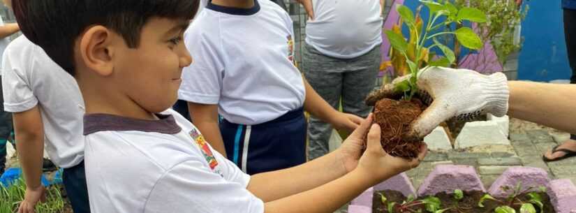 Secretaria de Educação abre inscrições para voluntariado em projetos de educação ambiental nas escolas