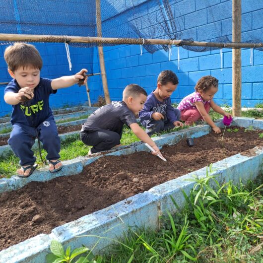 Escola do Jetuba desenvolve Projeto Horta Escolar com alunos do Maternal II