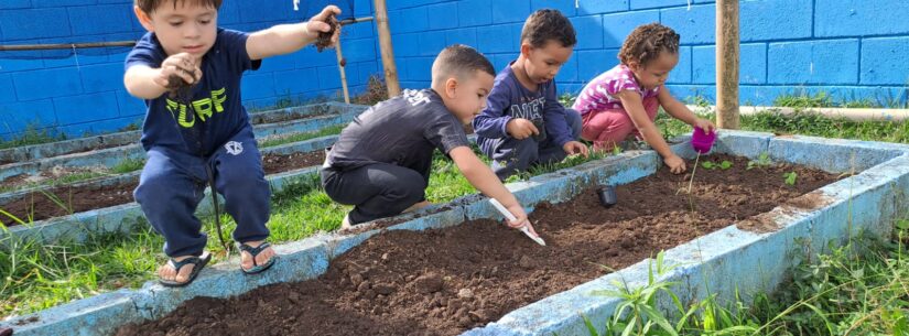 Escola do Jetuba desenvolve Projeto Horta Escolar com alunos do Maternal II