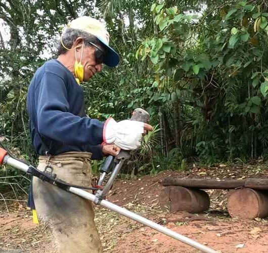 Prefeitura de Caraguatatuba aguarda mais 30 bolsistas do PEAD na próxima semana