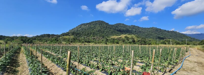 Prefeitura de Caraguatatuba promove encontro sobre Cadastro Ambiental Rural Prefeitura de Caraguatatuba promove encontro sobre Cadastro Ambiental Rural