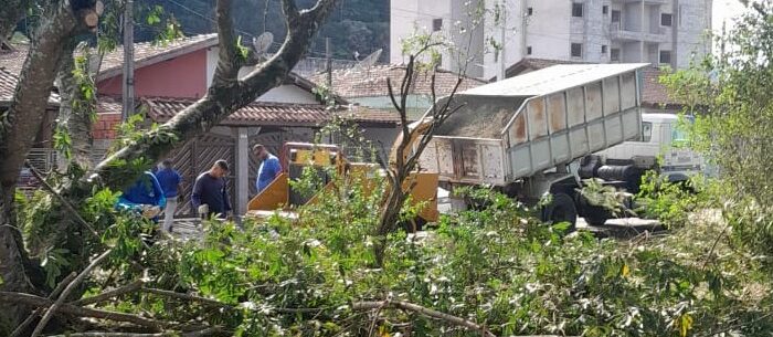 Prefeitura realiza poda de árvores em praça da Prainha
