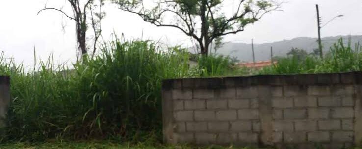 Prefeitura de Caraguatatuba implementa nova lei para limpeza e construção de muros em terrenos