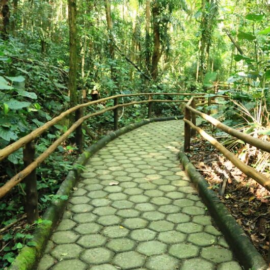 Núcleo Caraguatatuba do Parque Estadual Serra do Mar abre vagas para formação de monitores ambientais