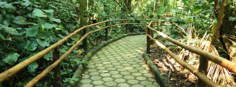 Núcleo Caraguatatuba do Parque Estadual Serra do Mar abre vagas para formação de monitores ambientais