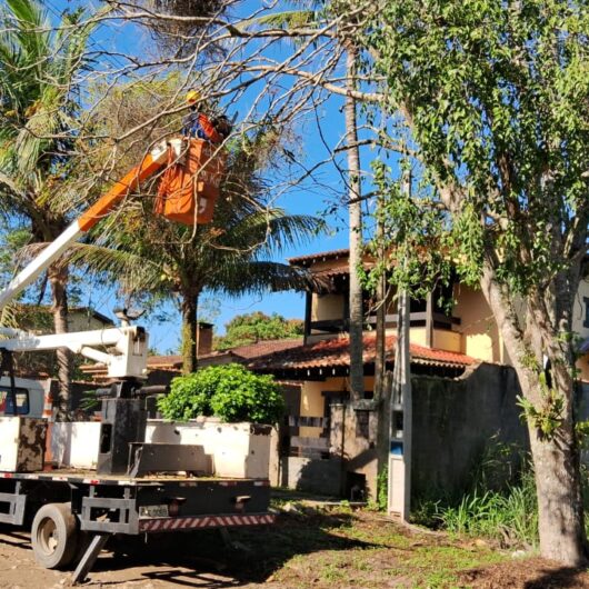 Prefeitura de Caraguatatuba realiza poda de árvores na Região Norte