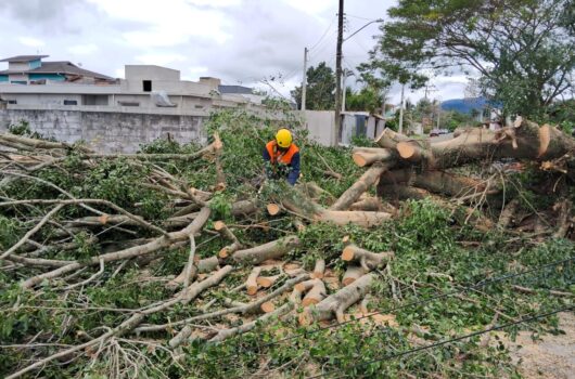 Defesa Civil de Caraguatatuba continua vistoria nos locais atingidos pelos ventos fortes Defesa Civil de Caraguatatuba continua vistoria nos locais atingidos pelos ventos fortes