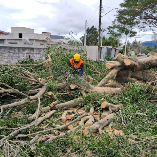 Defesa Civil de Caraguatatuba continua vistoria nos locais atingidos pelos ventos fortes