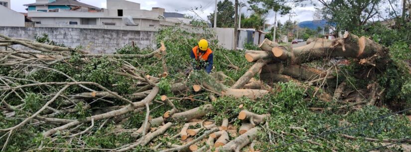 Defesa Civil de Caraguatatuba continua vistoria nos locais atingidos pelos ventos fortes