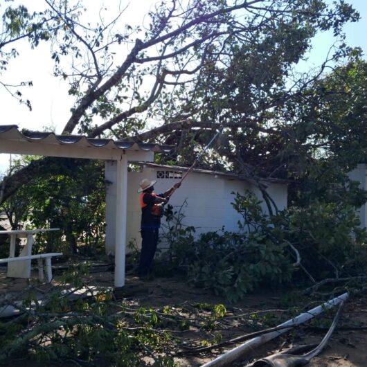 Prefeitura de Caraguatatuba realiza trabalhos de rescaldo após ventos e chuvas fortes