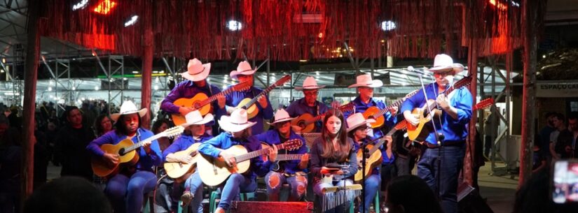 Viola na Praça é atração em Caraguatatuba nesta sexta-feira