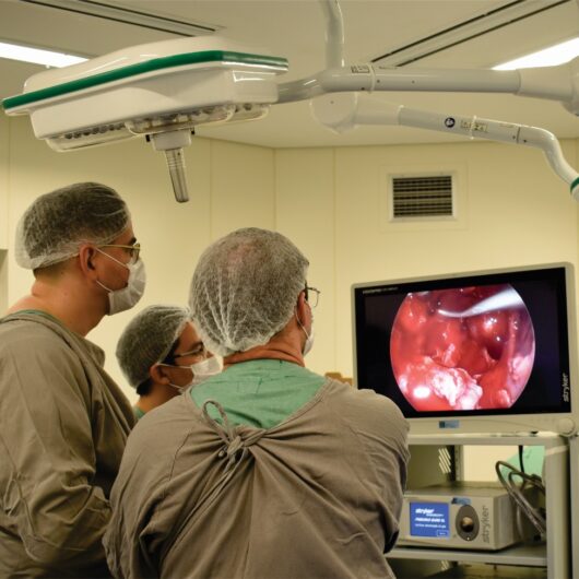 Hospital Regional em Caraguatatuba realiza técnica avançada para retirada de tumor cerebral pelo nariz