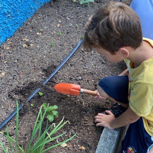 Prefeitura de Caraguatatuba desenvolve projeto Horta Educativa em mais de 40 escolas da rede municipal de ensino