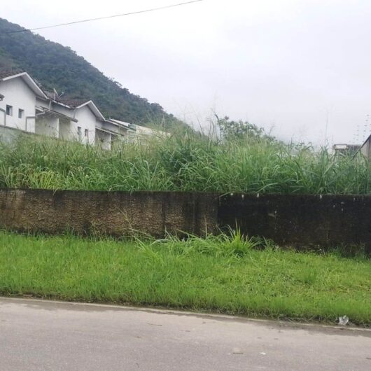 Prefeitura de Caraguatatuba realiza fiscalização e autua terrenos com matos altos
