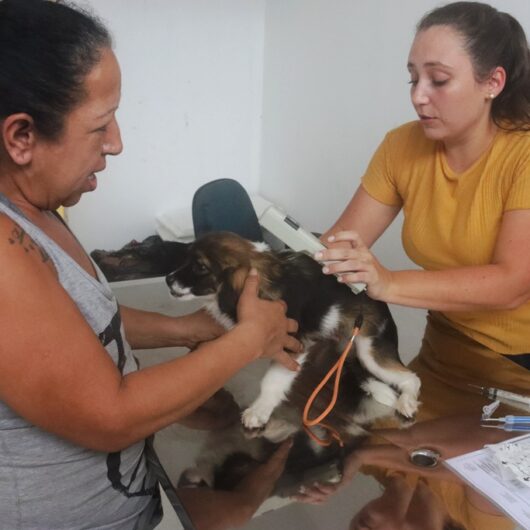 Mais de 1,9 mil animais são encaminhados para castração pelo CCZ de Caraguatatuba neste ano