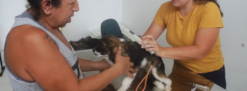 Mais de 1,9 mil animais são encaminhados para castração pelo CCZ de Caraguatatuba neste ano