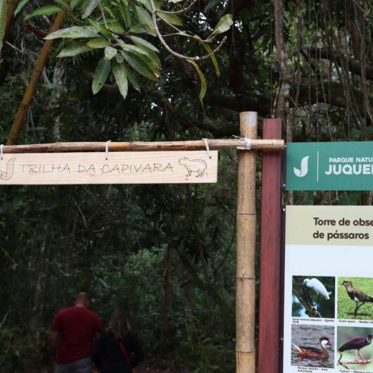 Parque Juqueriquerê terá trilha interligada de quase 1 km de extensão