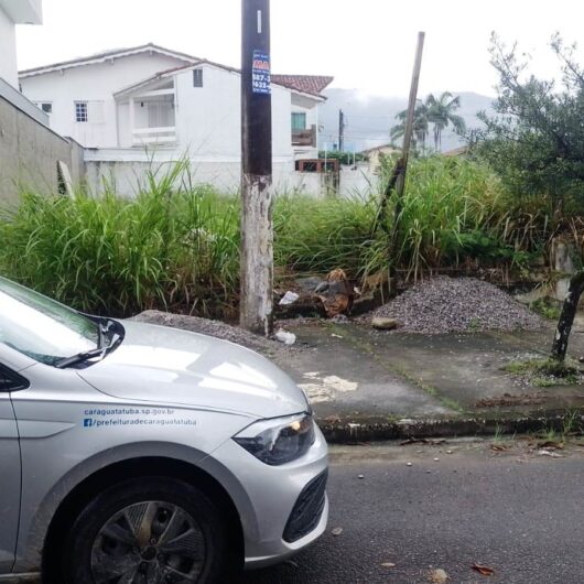 Fiscalização é reforçada em terrenos com mato alto e materiais depositados irregularmente