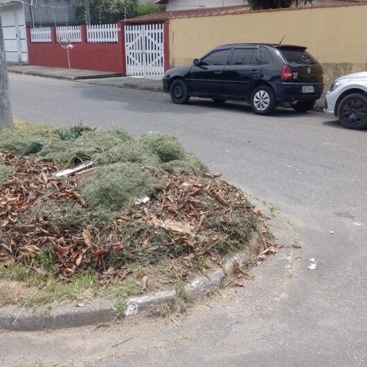 Prefeitura de Caraguatatuba aplica 2 mil em multa por descarte irregular de poda em via pública