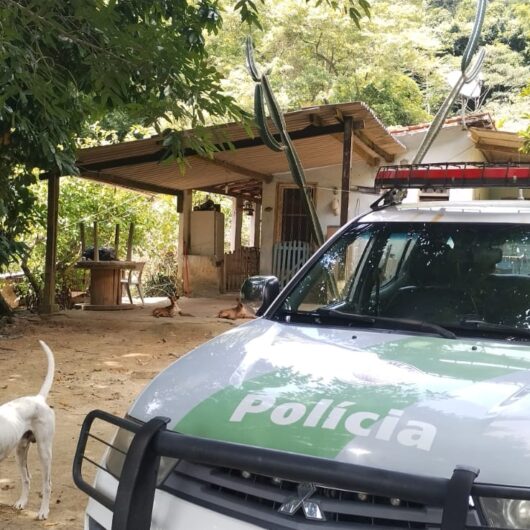 Prefeitura de Caraguatatuba e Polícia Militar Ambiental combatem obras irregulares em área de preservação