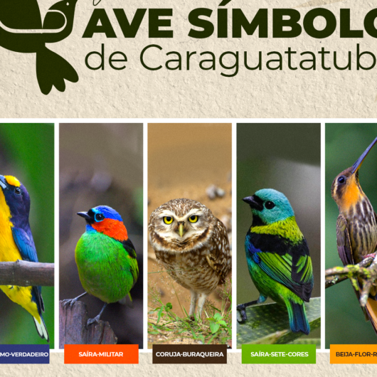 Eleição da ave símbolo de Caraguatatuba encerra hoje