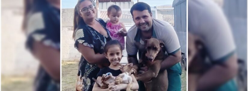 Cadela Wendy é o 100º animal adotado neste ano no CCZ de Caraguatatuba