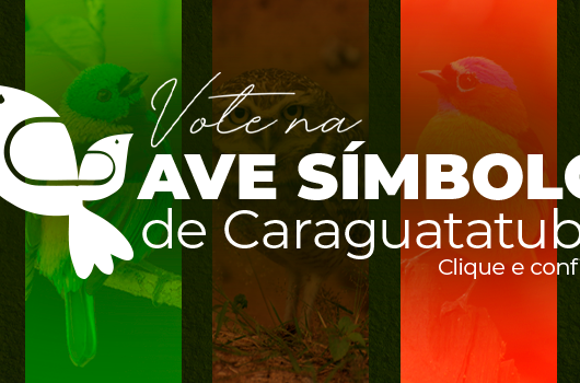 Prefeitura de Caraguatatuba abre eleição para Ave Símbolo da cidade