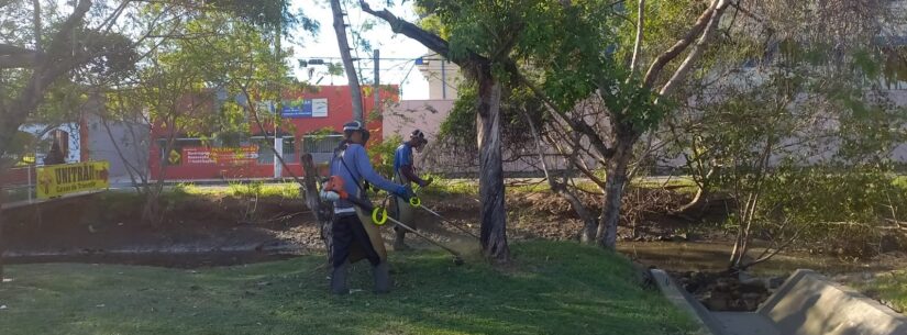 Prefeitura de Caraguatatuba convoca mais bolsistas do PEAD para manutenção urbana
