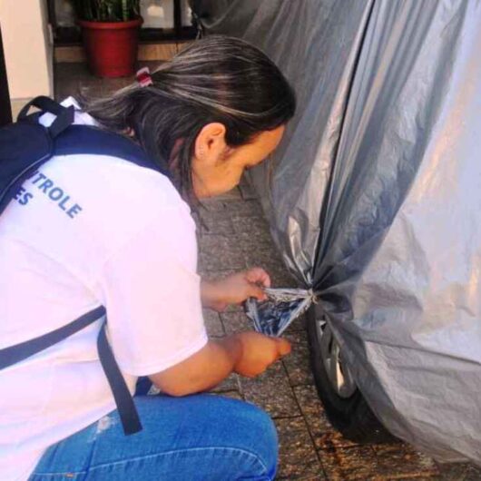 Caraguatatuba alerta para eliminação de criadouros contra dengue; cidade registra 30 casos neste ano