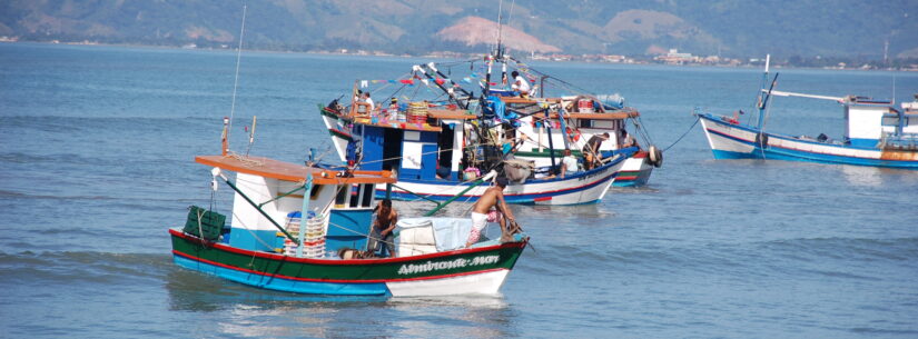 Prefeitura de Caraguatatuba alerta sobre período de defeso do camarão