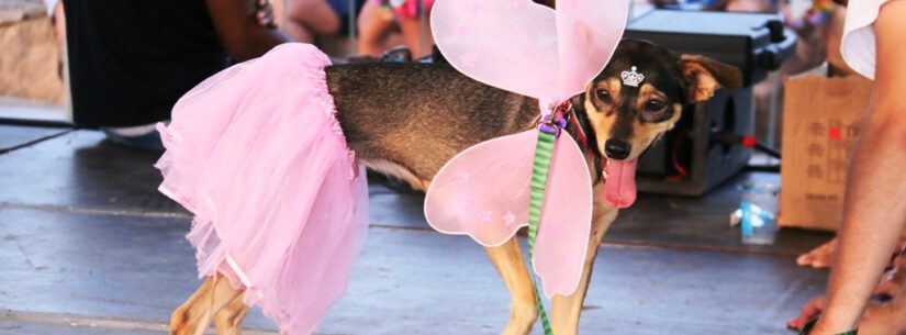 CarnaPet promete muita diversão para os bichinhos na terça-feira de Carnaval