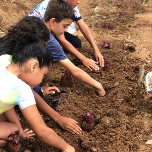 Prefeitura de Caraguatatuba e Casa Beija Flor realizam horta comunitária