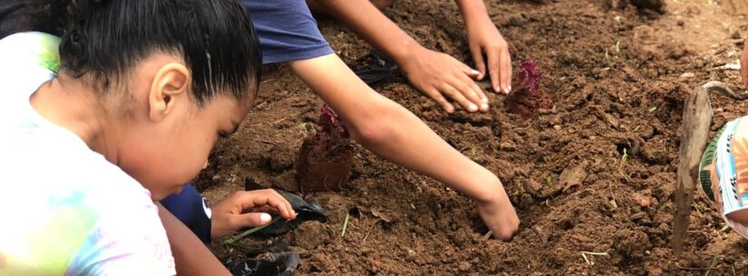 Prefeitura de Caraguatatuba e Casa Beija Flor realizam horta comunitária