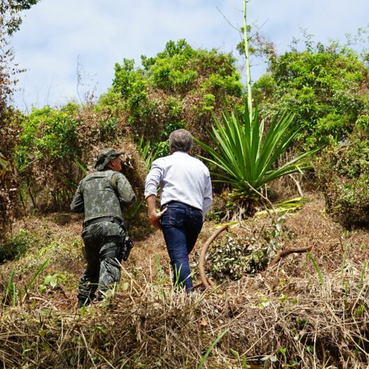 Prefeitura fiscaliza denúncia de extravazamento de esgoto na Prainha e desmatamento na Martim de Sá