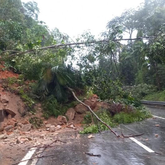 Serra Antiga da Tamoios tem registro de deslizamento de terra