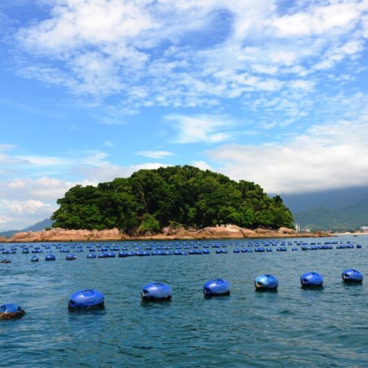 Associação de Pescadores e Maricultores da Cocanha promove ação de combate à poluição marinha