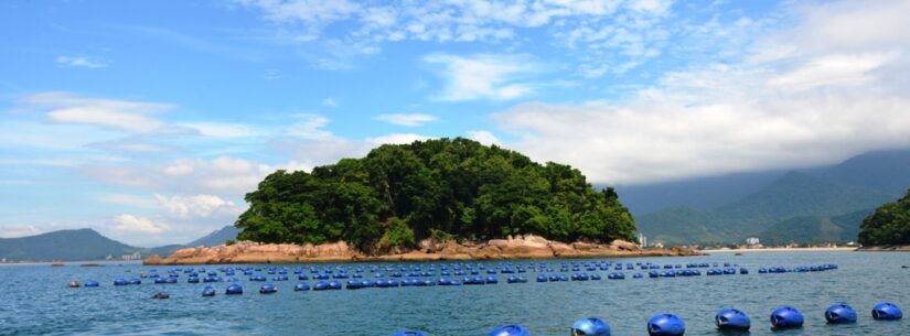 Associação de Pescadores e Maricultores da Cocanha promove ação de combate à poluição marinha