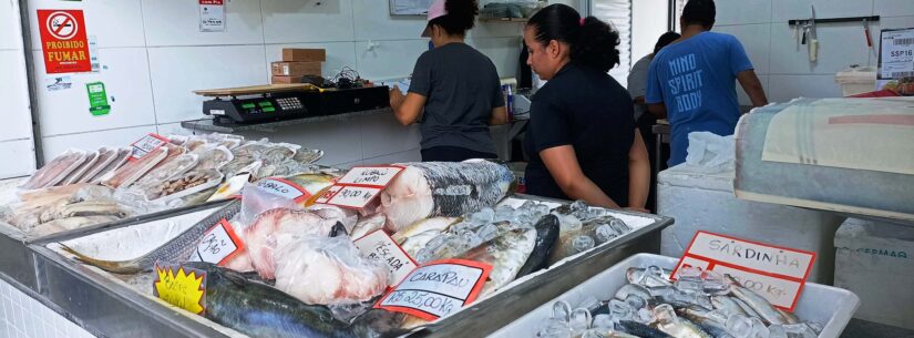 Semana Santa em Caraguatatuba registra aumento de quase 50% na venda de peixes